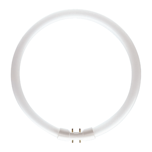 Picture of Circular Lamps