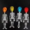 Glow-in-the-dark Skull Lollipop Noctilucine Candy Human Skeleton Candy Toy