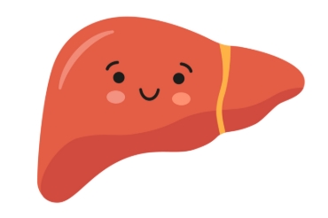 Picture for category Liver Health
